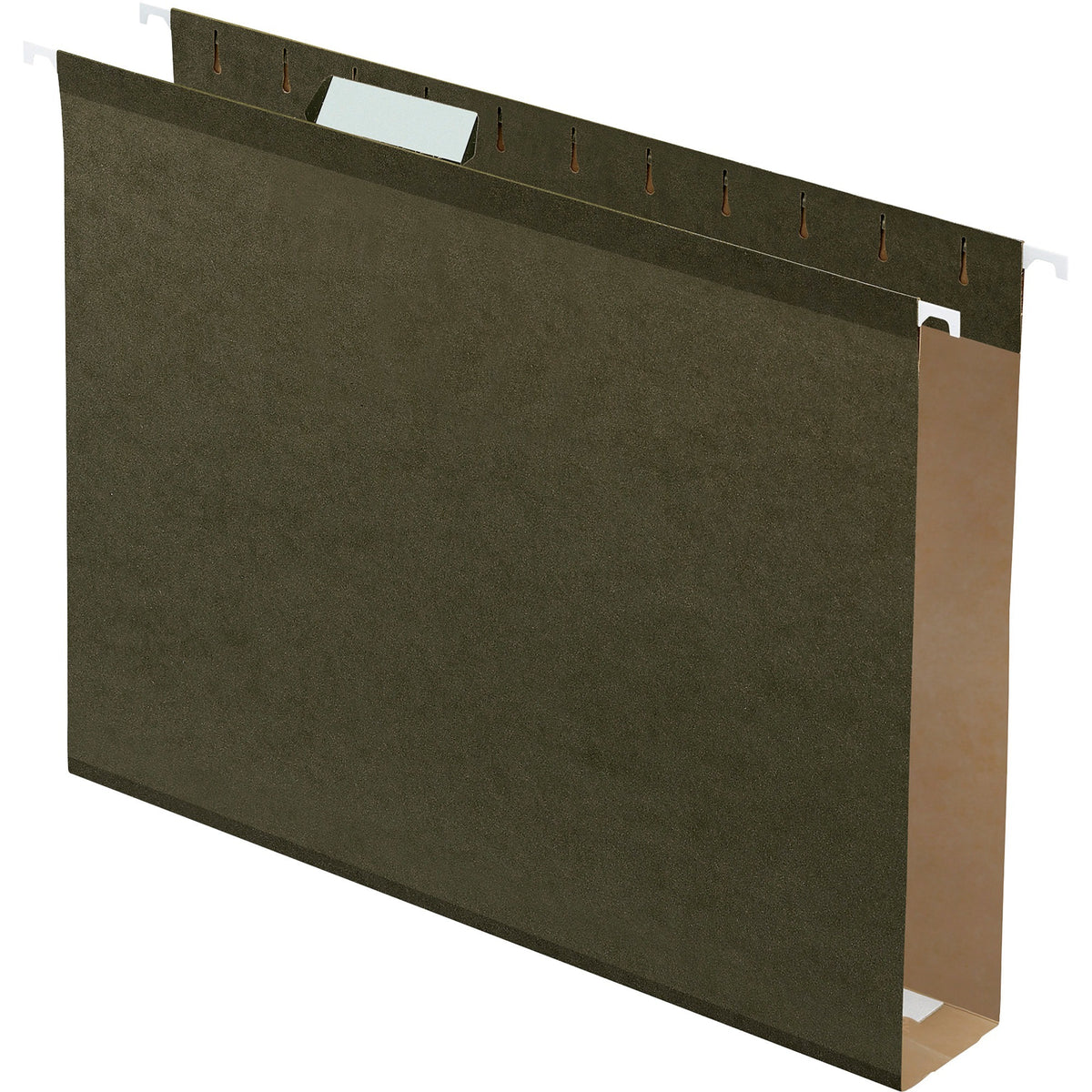 Pendaflex Letter Hanging Folder - 2" Folder Capacity - 8 1/2" x 11" - Folder - Standard Green - Reinforced, Reinforced G