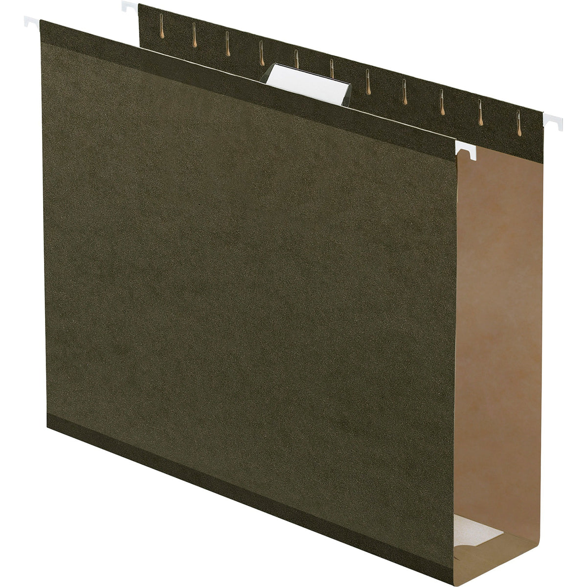 Pendaflex Letter Recycled Hanging Folder - 3" Folder Capacity - 8 1/2" x 11" - Folder - Pressboard - Standard Green - 25