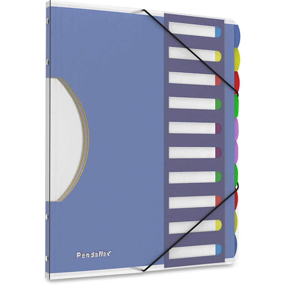 Pendaflex Translucent Poly Project Sorter - 10 x Divider(s) - 10 Tab(s) - 8.5" Divider Width x 11" Divider Length - Lett