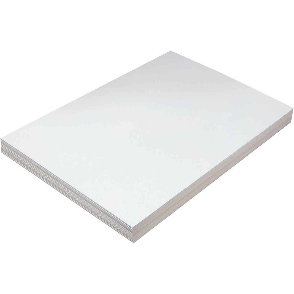 Pacon Tagboard - Craft, Art - 12" Width x 18" Length - White - 1 Pack
