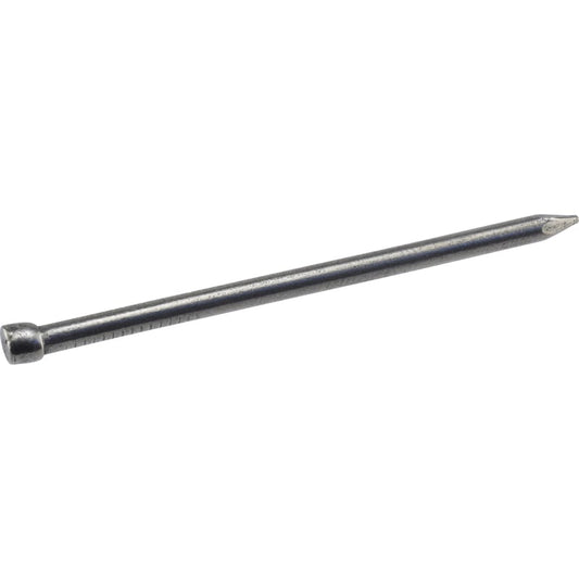 HILLMAN 6D 2 in. Finishing Polished Steel Nail Large Head