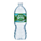 Nestle Waters Poland Springs Spring Water 20 oz 1 pk