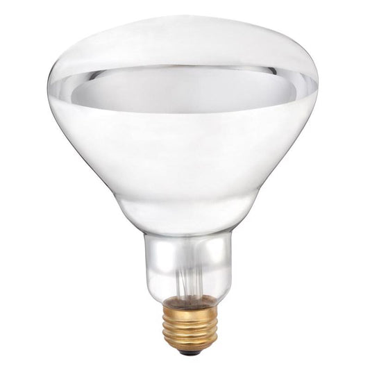 Westinghouse 250 W R40 Heat Lamp Incandescent Light Bulb Medium Base Clear 2 pk