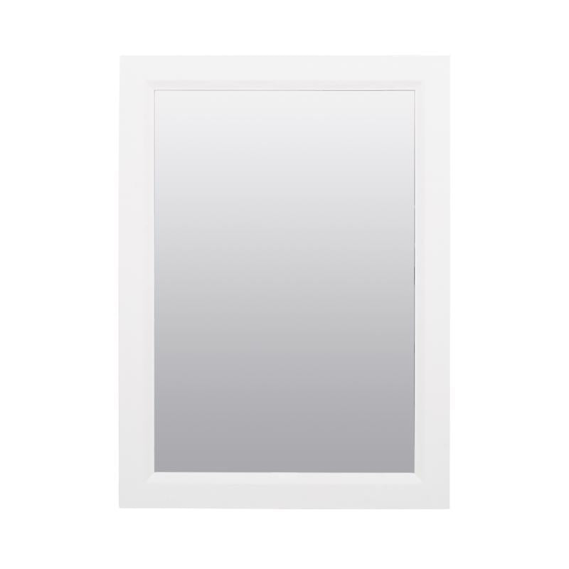 Zenna Home 22.38 in. H X 16.38 in. W X 5 in. D Rectangle Medicine Cabinet/Mirror