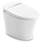 Anzzi Envo Aura ADA Compliant 1.28 gal White Elongated Complete Toilet