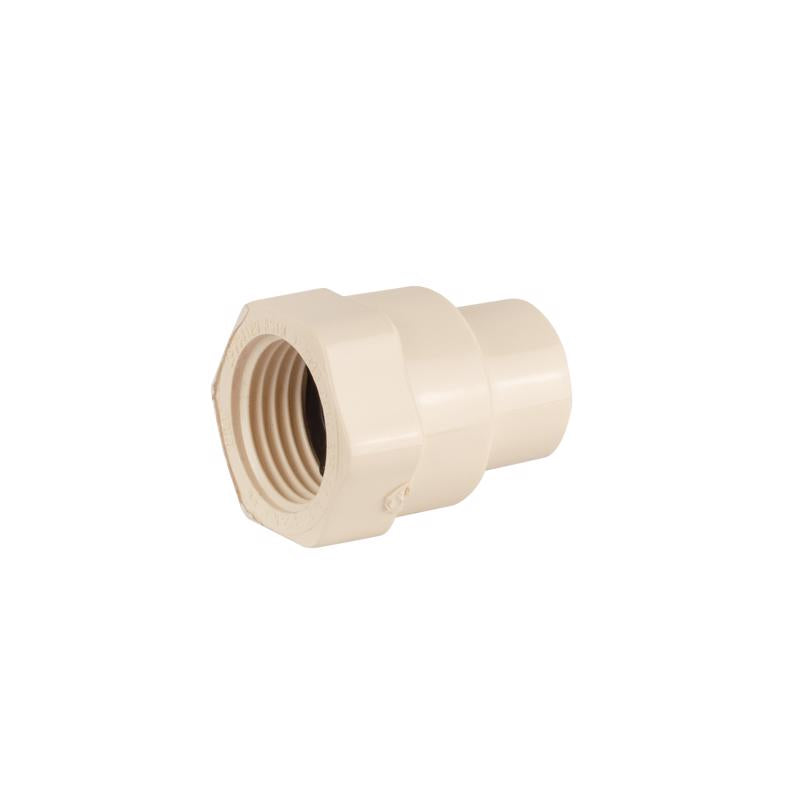 PlumbCraft Schedule 40 1/2 in. FPT each X 1/2 in. D Solvent Weld each CPVC Female Adapter