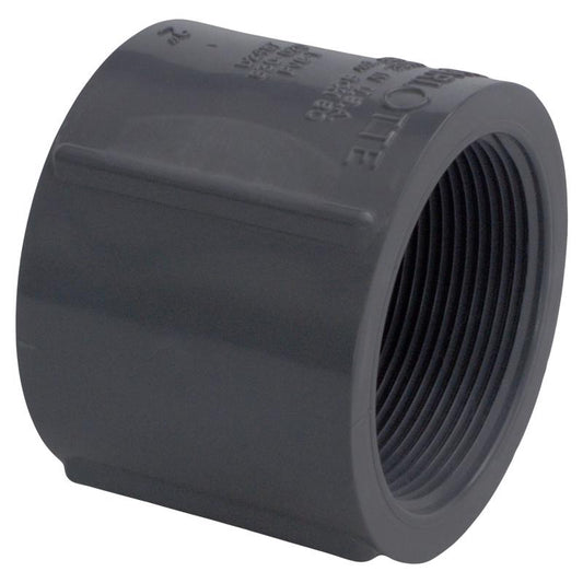 Charlotte Pipe Schedule 80 2 in. FPT X 2 in. D FPT PVC Coupling 1 pk