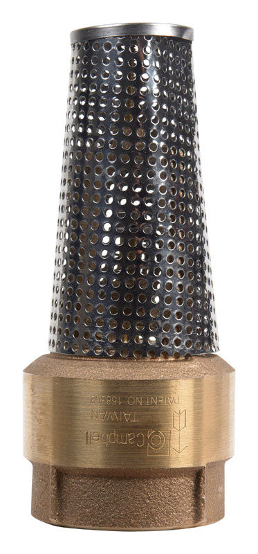 Campbell 2 in. x 2 in. Brass Foot Valve