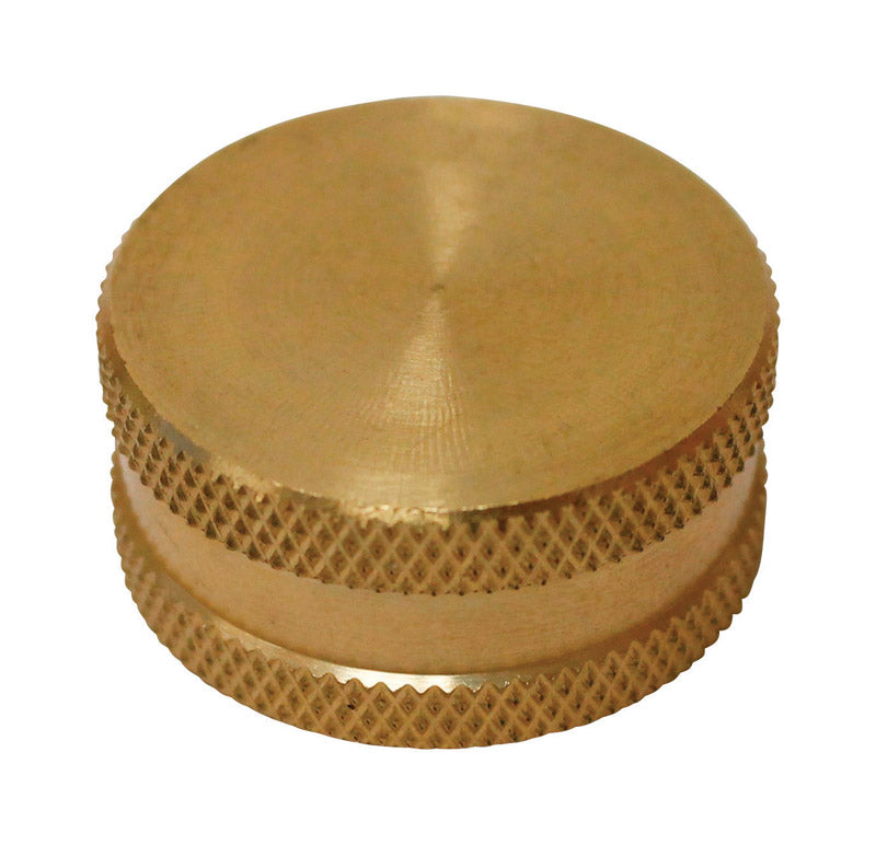 Plumb Pak Brass 3/4 in. x 3/4 in. Hose Cap with Washer 1 pk