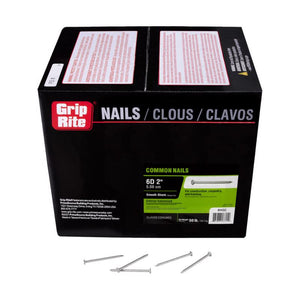 Grip-Rite 6D 2 in. Common Hot-Dipped Galvanized Steel Nail Flat Head 50 lb 6HGC