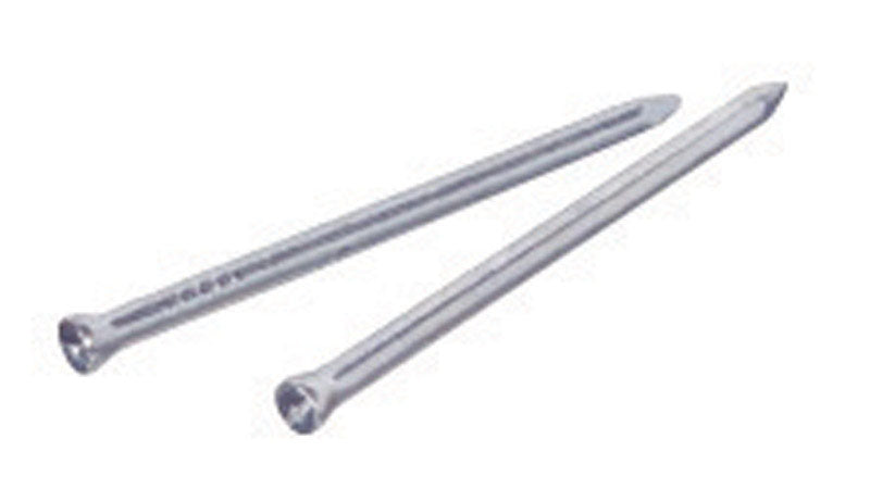HILLMAN 2-1/2 in. Trim Bright Steel Nail Flat Head