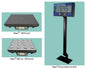Fairbanks Scales Ultegra® Bench Scale Line