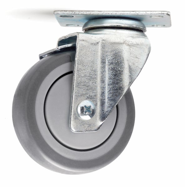 Payson New Light Medium Caster