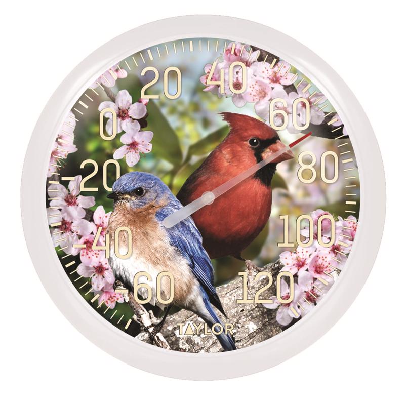 Taylor Bird Design Dial Thermometer Plastic Multicolored 13.25 in.