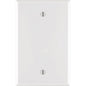 Leviton White 1 gang Nylon Blank Wall Plate 1 pk