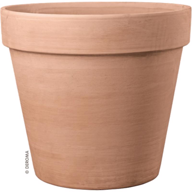 Deroma 5.22 in. H X 5.98 in. W X 5.98 in. D X 5.98 in. D Clay Standard Flower Pot Blush