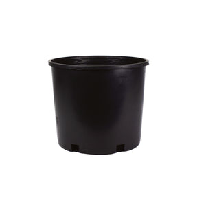 HC Companies Squat 10.25 in. H X 12 in. W X 12 in. D X 12 in. D Plastic Modern Nursery Container NSS005G2G18D025, Pack of 25