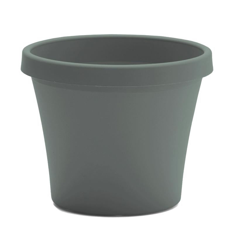 Bloem Terra 14.25 in. H X 17.25 in. W X 11.75 in. D Plastic Traditional Planter Basil