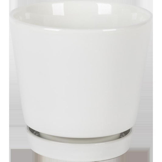 Border Concepts 6 in. D Ceramic Flair Saucer Planter White
