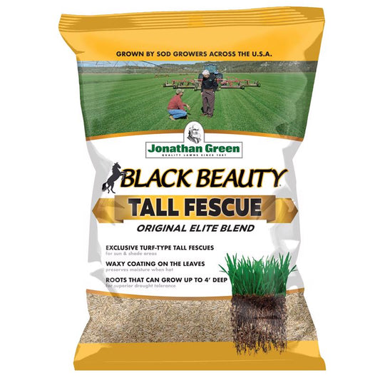 Jonathan Green Black Beauty Tall Fescue Grass Sun or Shade Grass Seed 3 lb