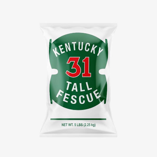 Barenbrug Kentucky 31 Tall Fescue Grass Sun or Shade Grass Seed 5 lb