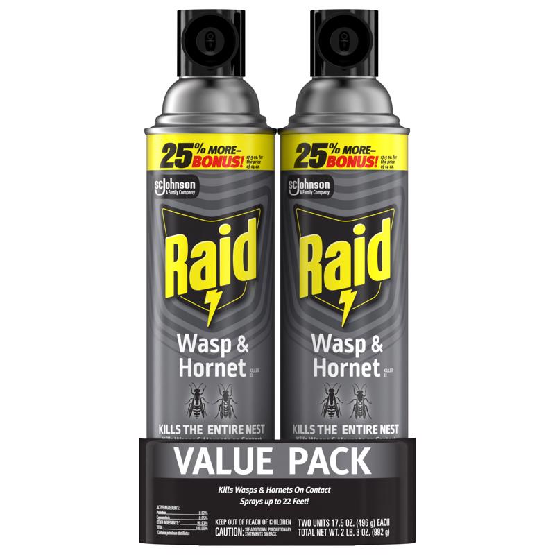 Raid Wasp and Hornet Killer Aerosol 17.5 oz
