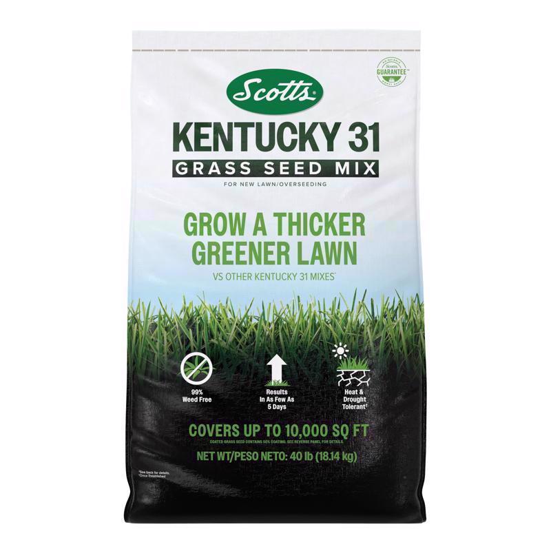 Scotts Kentucky 31 Full Sun Grass Seed Mix 40 lb