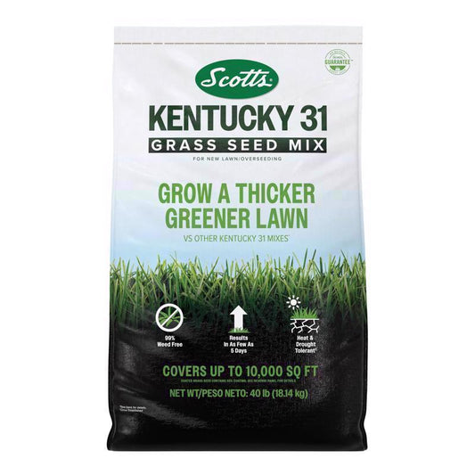 Scotts Kentucky 31 Full Sun Grass Seed Mix 40 lb