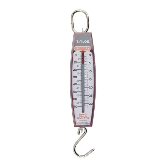 Taylor White Analog Hanging Scale 70 lb