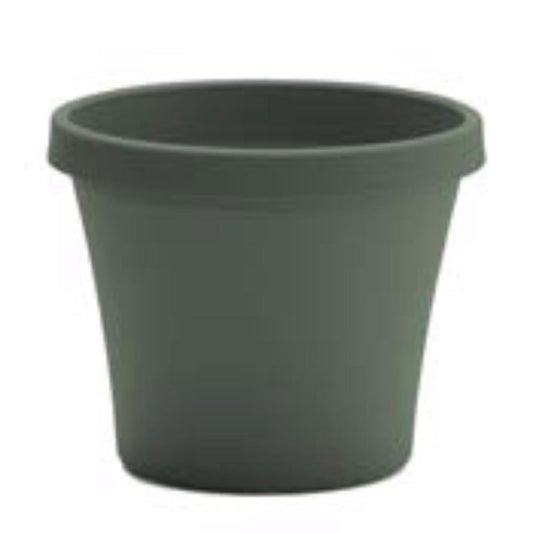 Bloem Terra 7.25 in. H X 8.75 in. W X 6 in. D Plastic Traditional Planter Basil