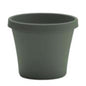 Bloem Terra 7.25 in. H X 8.75 in. W X 6 in. D Plastic Traditional Planter Basil