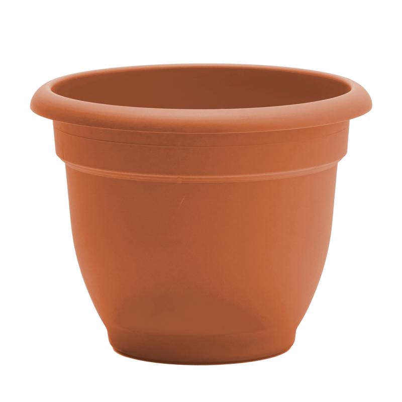 Bloem Ariana 5.25 in. H X 6.5 in. W Resin Traditional Planter Terracotta