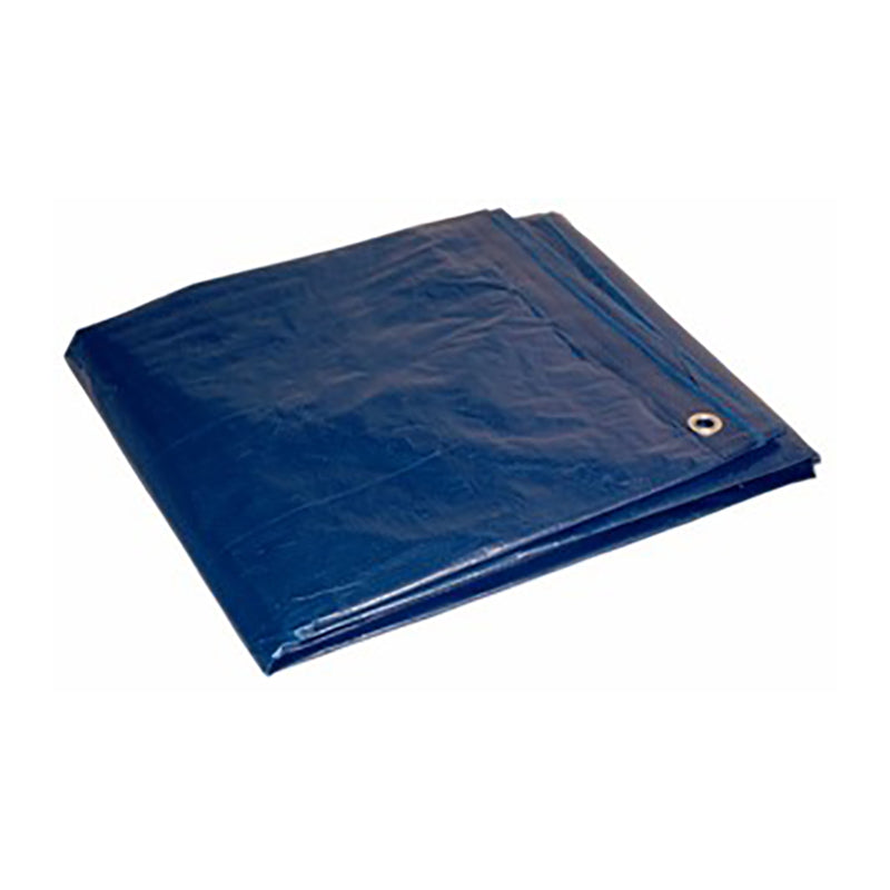 Foremost 8 ft. W X 10 ft. L Light Duty Polyethylene Tarp Blue