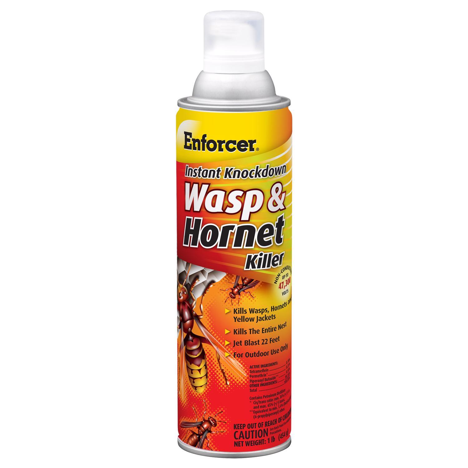 Enforcer Instant Knockdown Wasp and Hornet Killer Aerosol 16 oz