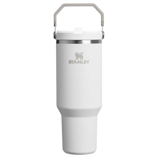 Stanley IceFlow 30 oz Frost BPA Free Double-Wall Vacuum Insulated Straw Tumbler