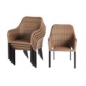 Living Accents Brown Steel Frame Dining Chair HKVS935D