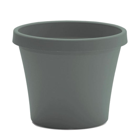 Bloem Terra 8.5 in. H X 10.75 in. W X 7.5 in. D Plastic Traditional Planter Basil