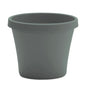 Bloem Terra 8.5 in. H X 10.75 in. W X 7.5 in. D Plastic Traditional Planter Basil