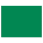 Pacon Peacock 22 in. W X 28 in. L Green Poster Board