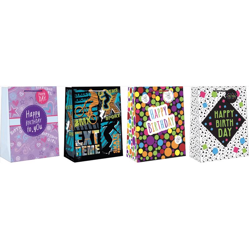 Paper Images Assorted Large Tween Birthday Gift Bag