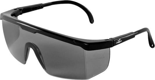Safety Glasses BH353 (Case of 144)