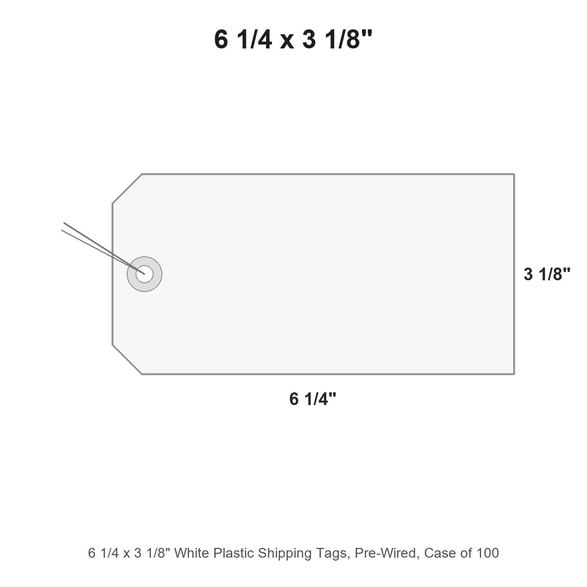6 1/4 x 3 1/8" White Plastic Shipping Tags, Pre-Wired, Case of 100
