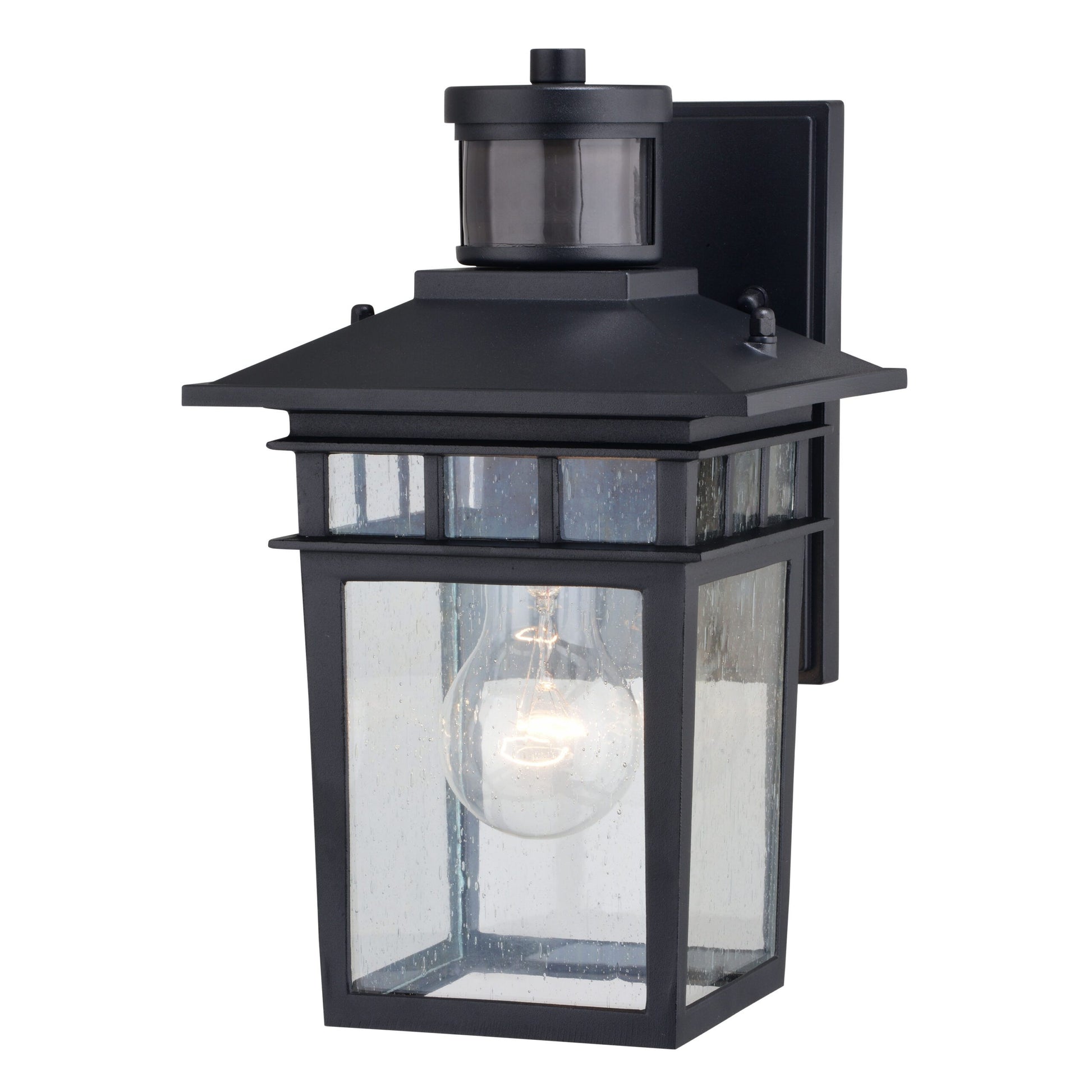 Dualux Motion-Sensing Hardwired Incandescent Black Porch Light