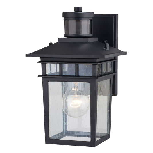 Dualux Motion-Sensing Hardwired Incandescent Black Porch Light