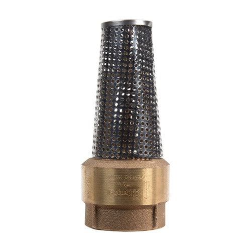 Campbell 2 in. x 2 in. Brass Foot Valve