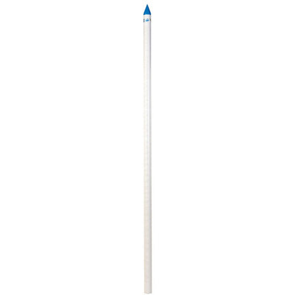 Campbell Brady PVC 1-1/4 in. Well Point