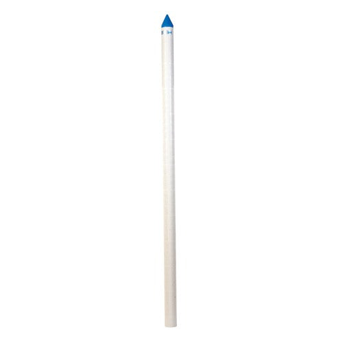 Campbell Brady PVC 2 in. Well Point