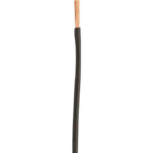 Coleman Cable 100 ft. Stranded 10 Ga. Primary Wire Black