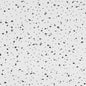 USG Ceilings Radar Basic R2110 Non-Directional 24 in. L X 24 in. W 0.63 in. Square Edge Ceiling Pane