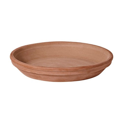 Deroma 1.6 in. H X 12.2 in. D Clay Rich Plant Saucer Chocolate